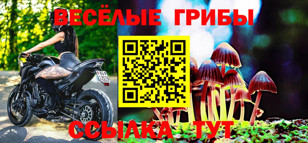 Галлюциногенные грибы мухоморы Сергиев Посад